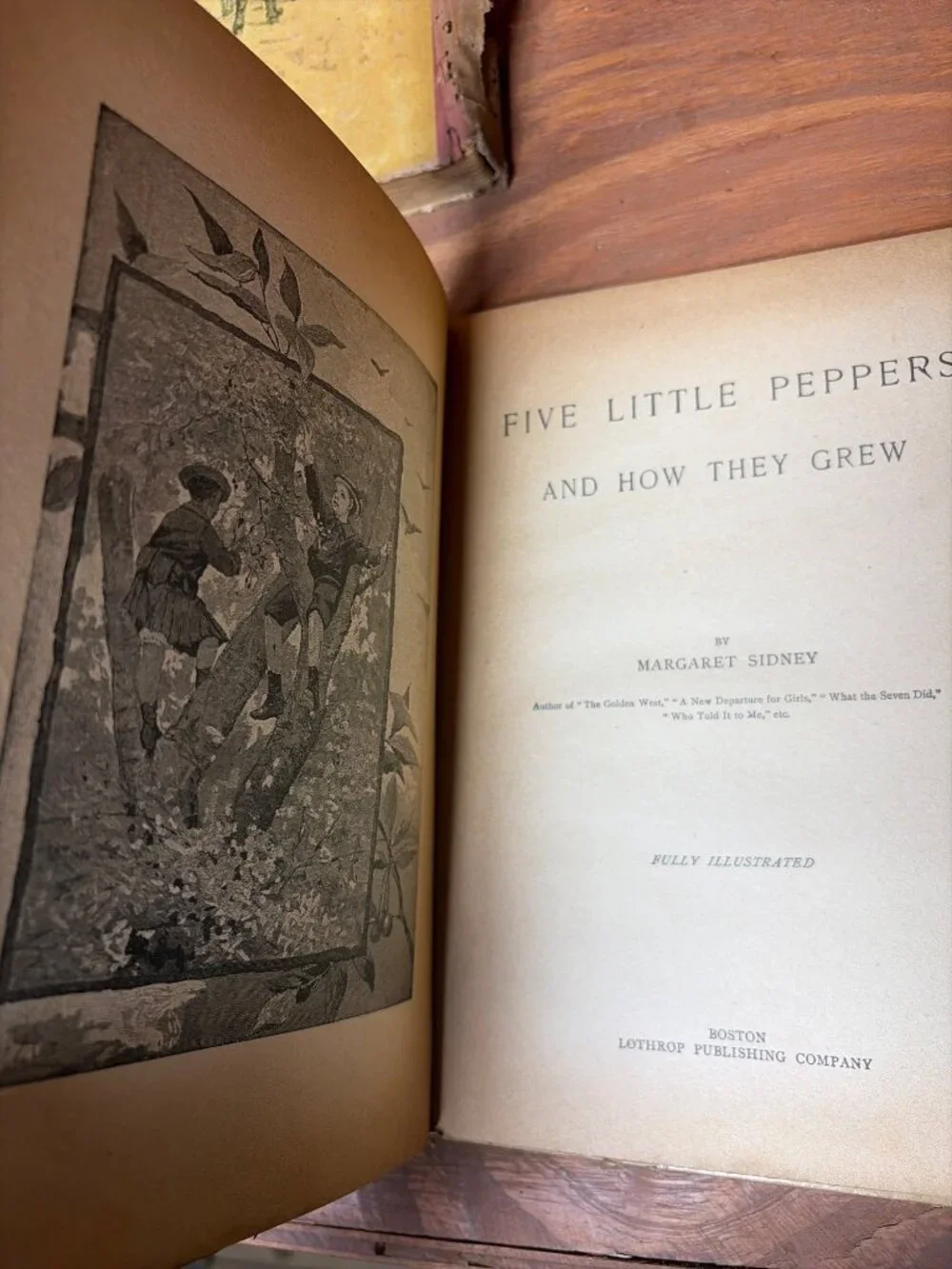 Antq. 1899 Illus. Books Lothrop 